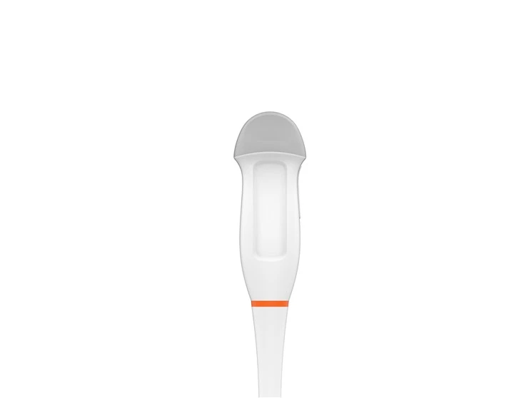 Micro-convex Array Probe Transducer