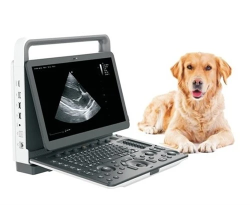 Bærbart veterinært fargedoppler ultralydsystem